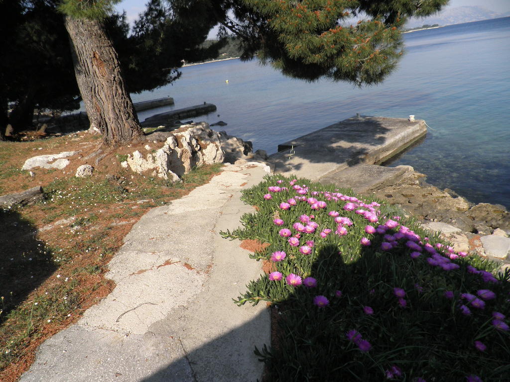 Apartments Holiday Lumbarda Chambre photo